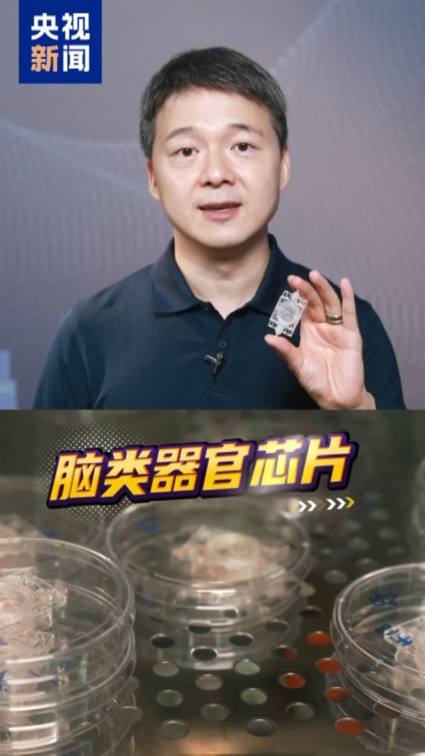 配资开户公司 全释硬科技丨送“大脑”上太空 天舟九号实现《三体》虚构场景
